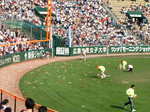 2006_0520060520carp_fighters0024.JPG